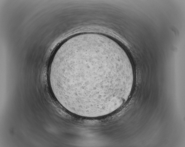 X0000112891498200909111453