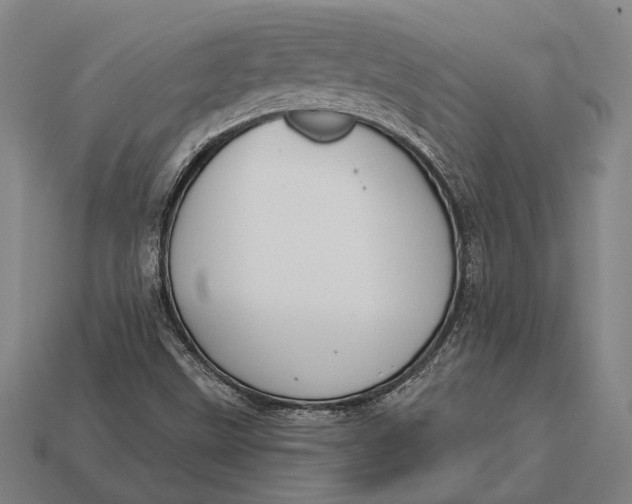X0000112891499200909111453