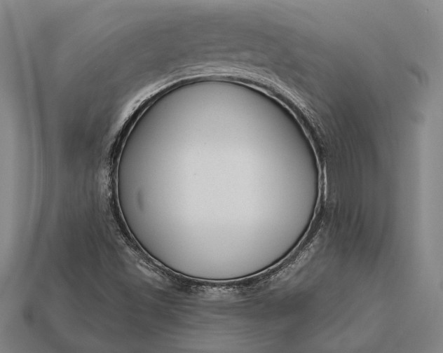 X0000112891501200909111453