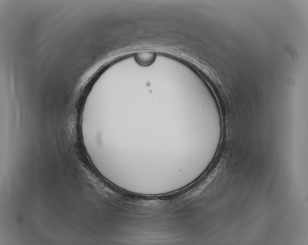 X0000112891502200909111453