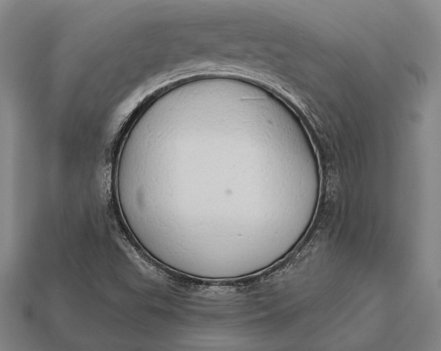 X0000112891503200909111453