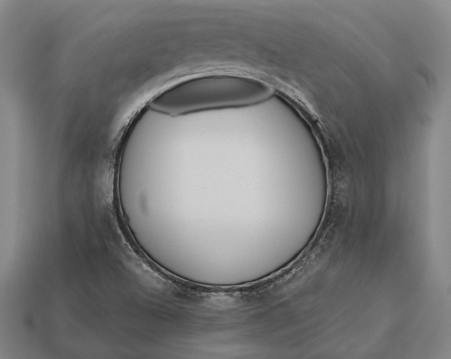 X0000112891504200909111453