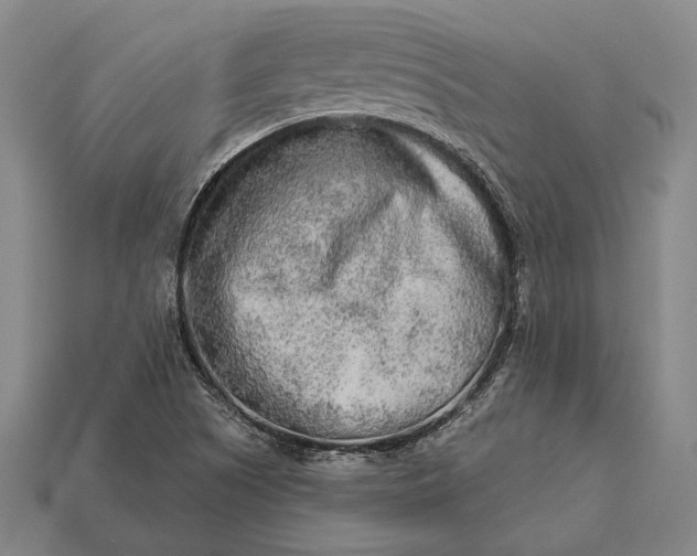X0000112891505200909111453