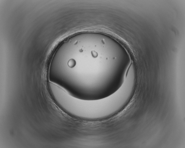 X0000112891506200909111453