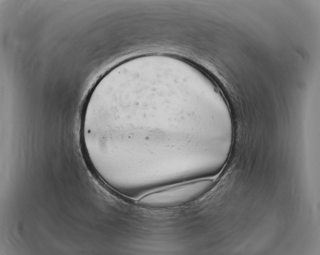 X0000112891508200909111453