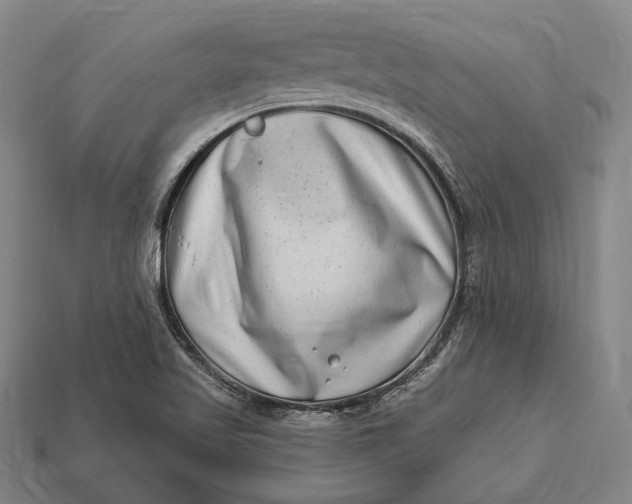 X0000112891509200909111453