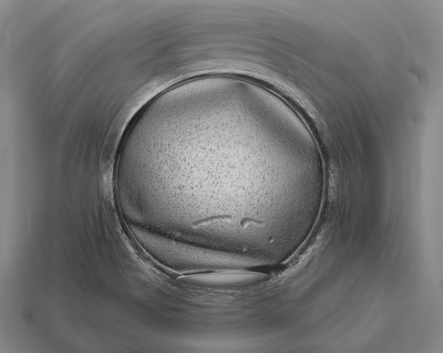 X0000112891513200909111453