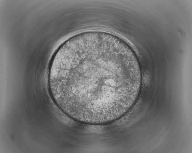 X0000112891514200909111453