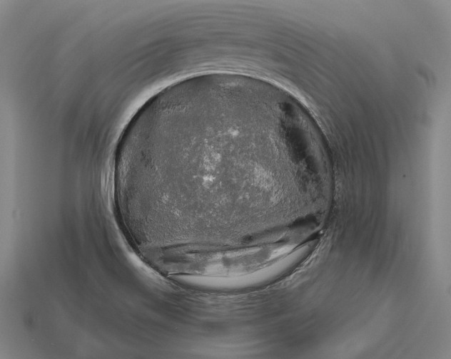 X0000112891515200909111453