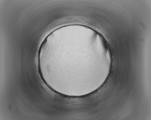 X0000112891516200909111453