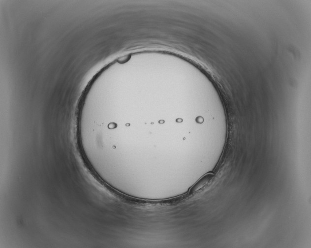 X0000112891518200909111454