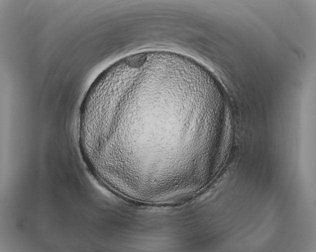 X0000112891519200909111454