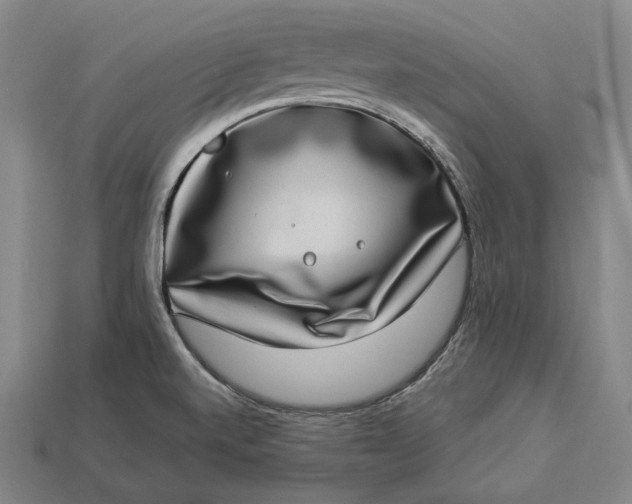 X0000112891520200909111454
