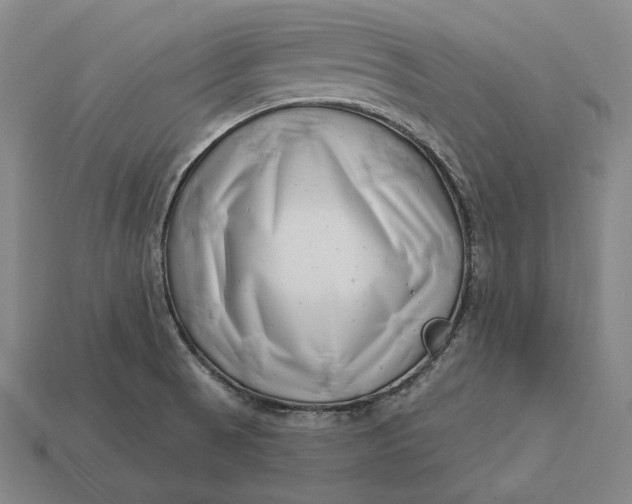 X0000112891521200909111454