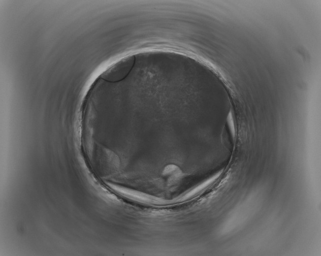 X0000112891522200909111454
