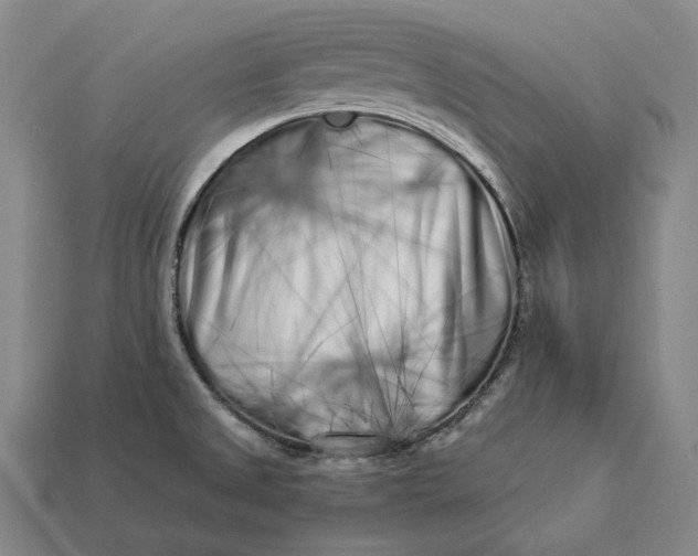 X0000112891525200909111454