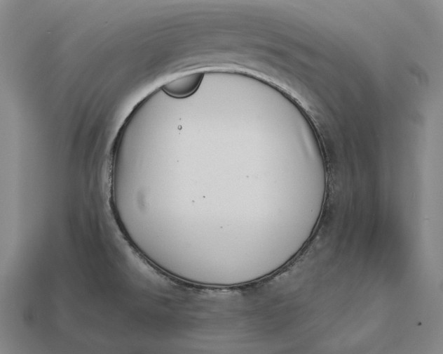 X0000112891526200909111454