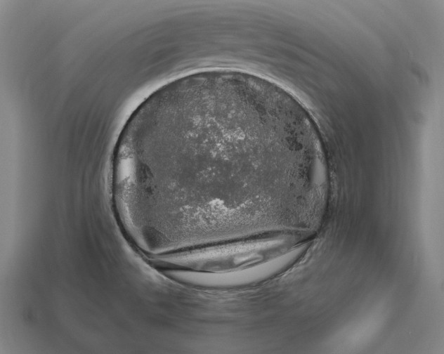 X0000112891527200909111454