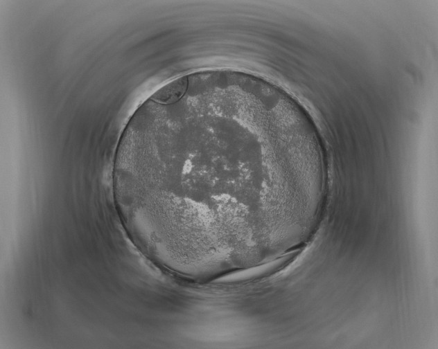 X0000112891529200909111454