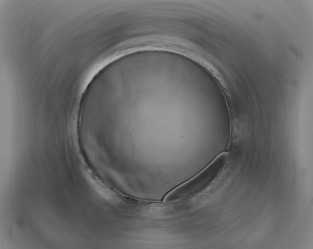 X0000112891530200909111454