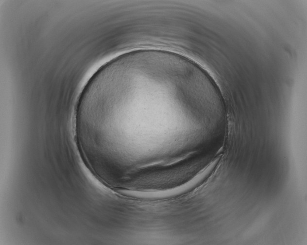 X0000112891531200909111454