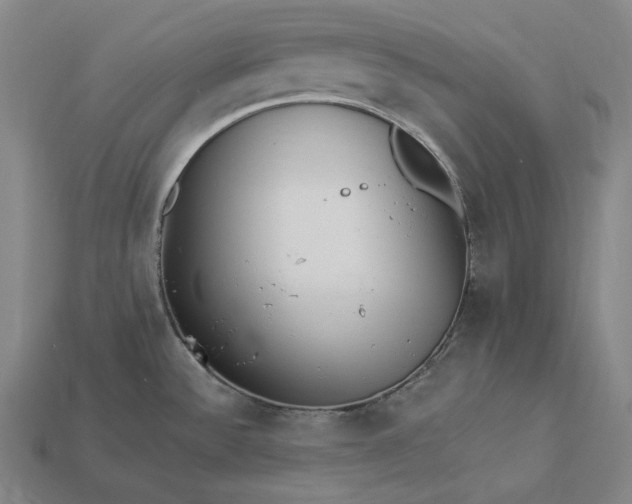 X0000112891532200909111454
