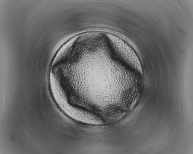 X0000112891533200909111454