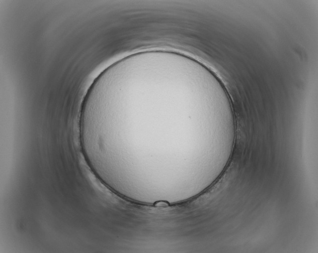 X0000112891534200909111454
