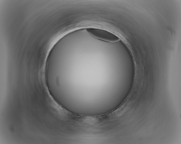X0000112891536200909111454
