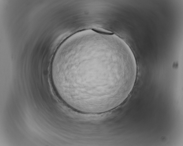 X0000112890001200909181923