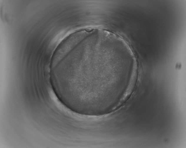 X0000112890002200909181923