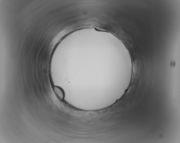 X0000112890003200909181923