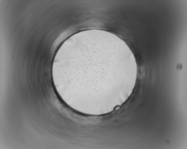 X0000112890004200909181923