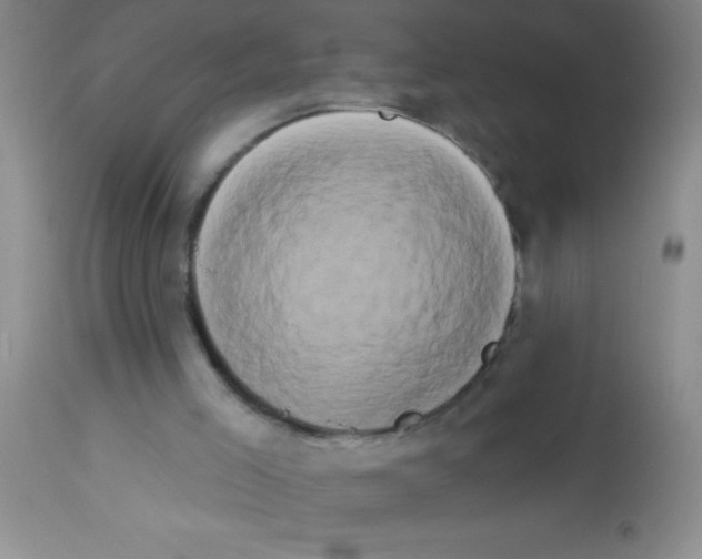 X0000112890005200909181922