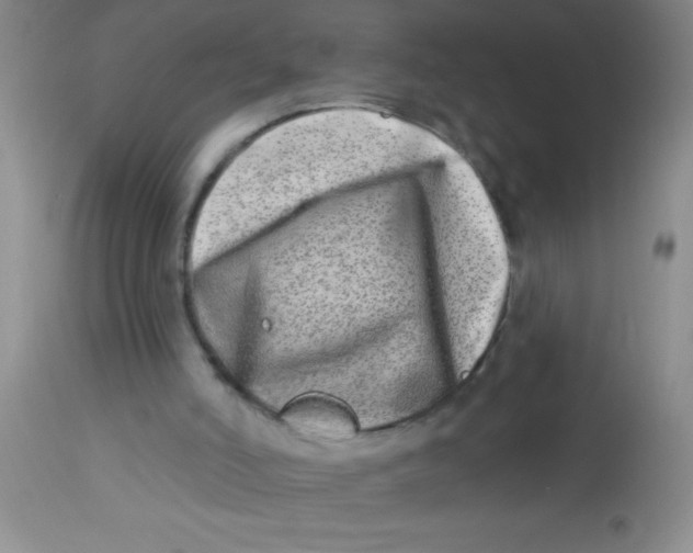 X0000112890006200909181922