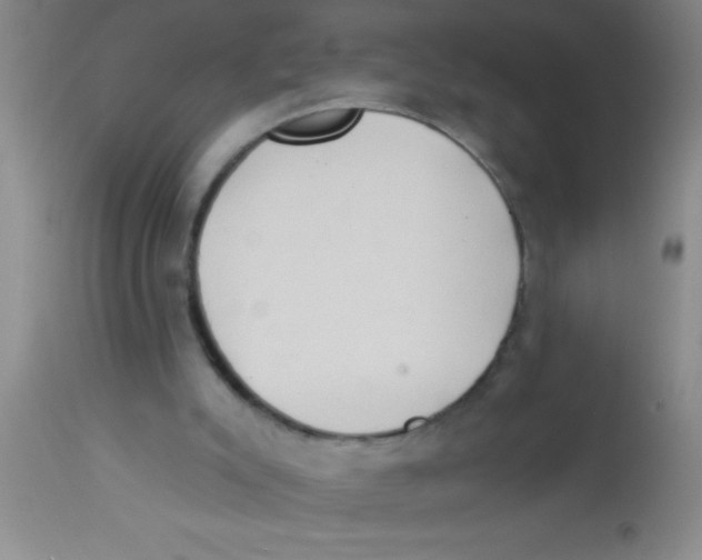 X0000112890007200909181922