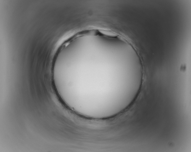 X0000112890008200909181922