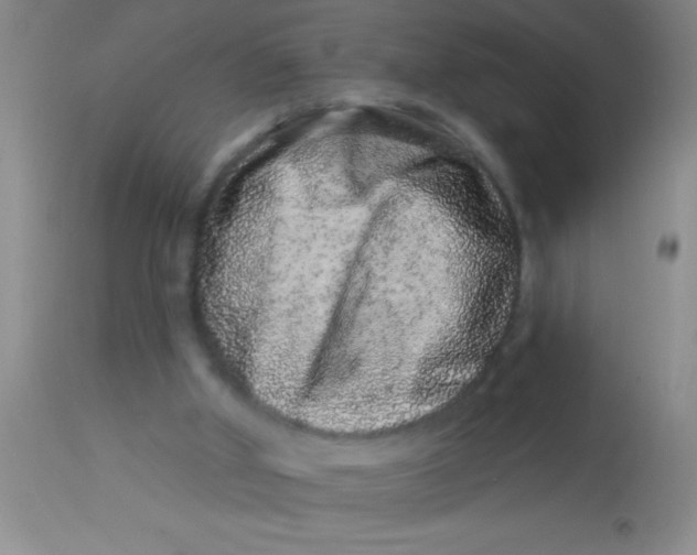 X0000112890010200909181922