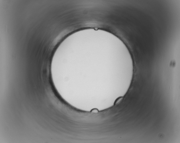 X0000112890011200909181922