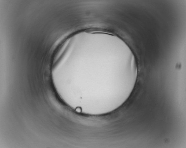 X0000112890012200909181922