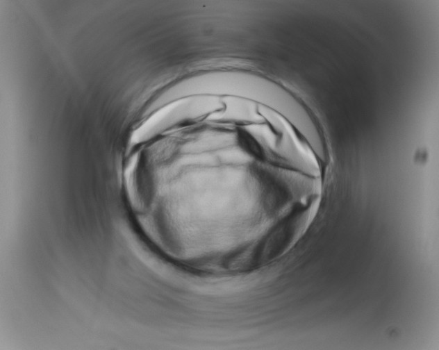 X0000112890013200909181922