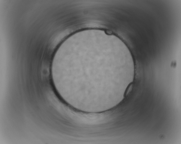 X0000112890015200909181922