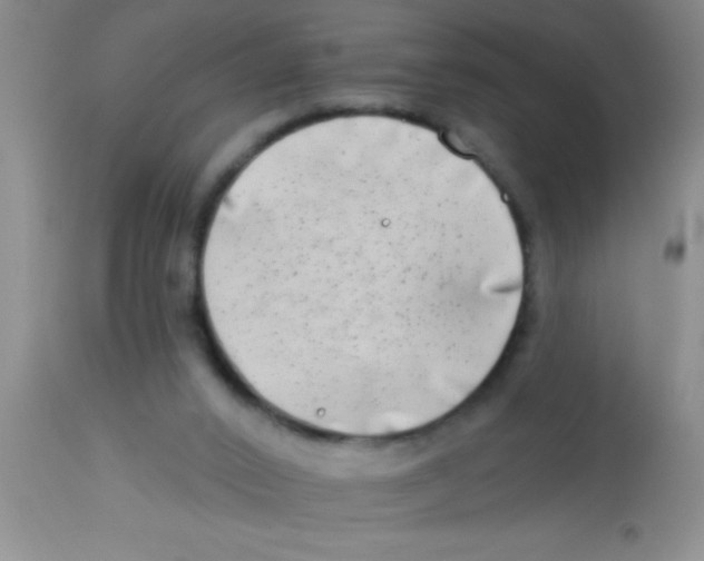 X0000112890016200909181922