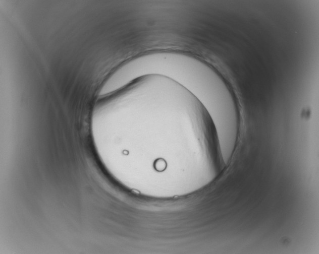 X0000112890017200909181922