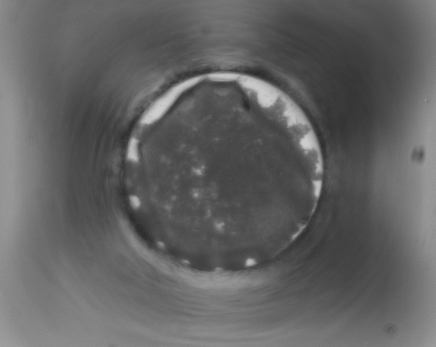 X0000112890018200909181922