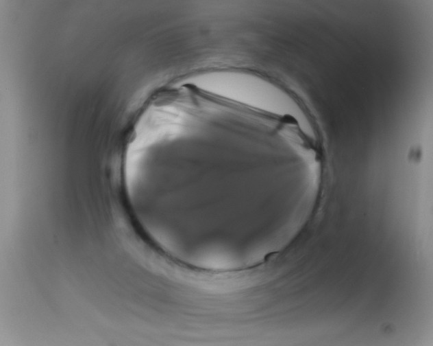 X0000112890019200909181922