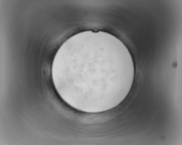 X0000112890021200909181922
