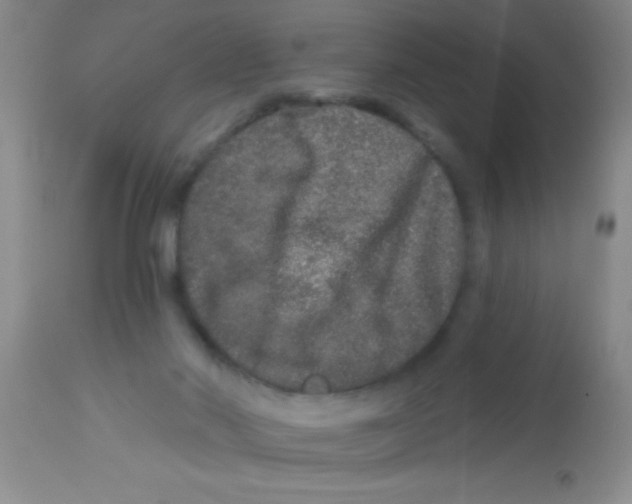 X0000112890022200909181922