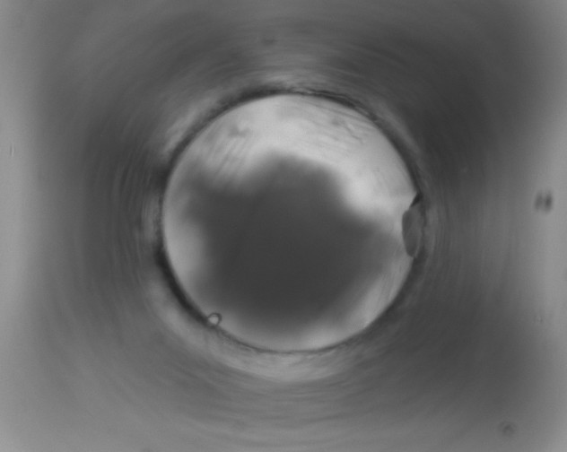 X0000112890023200909181922