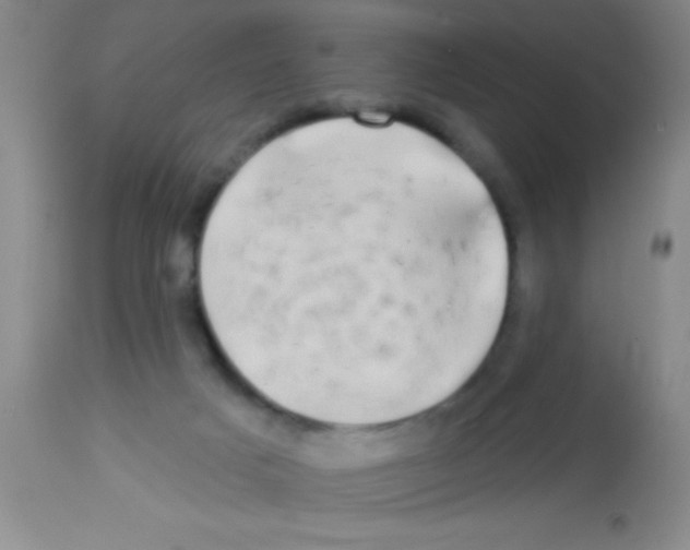 X0000112890025200909181922
